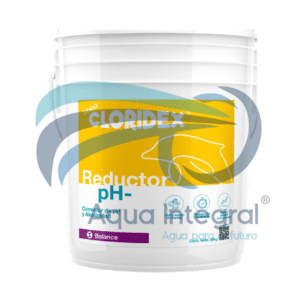 Reductor de pH Acidet x 25 Kg